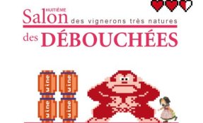 affiche-2017-debouche_es.jpg